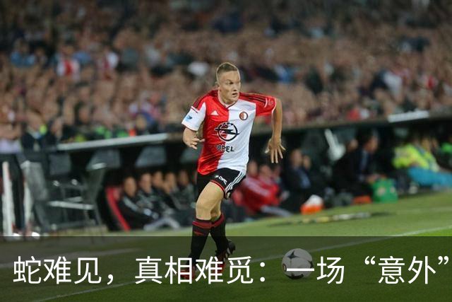 蛇难见，真相难觅：一场“意外”背后的迷局